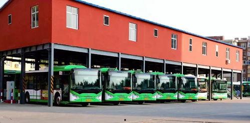 国外公交车头条,探索各国公交新趋势与挑战